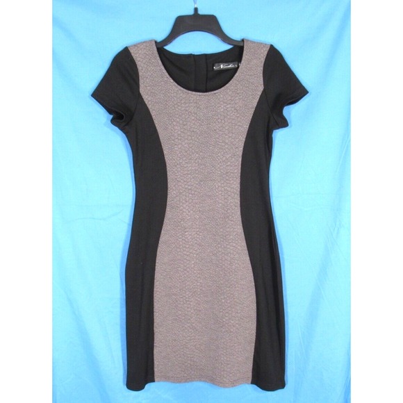 Neesha Dresses & Skirts - NEESHA Women's GRAY/BLACK Mid-Weight Knit COLORBLOCK Back-Zip BODYCON DRESS Sz M